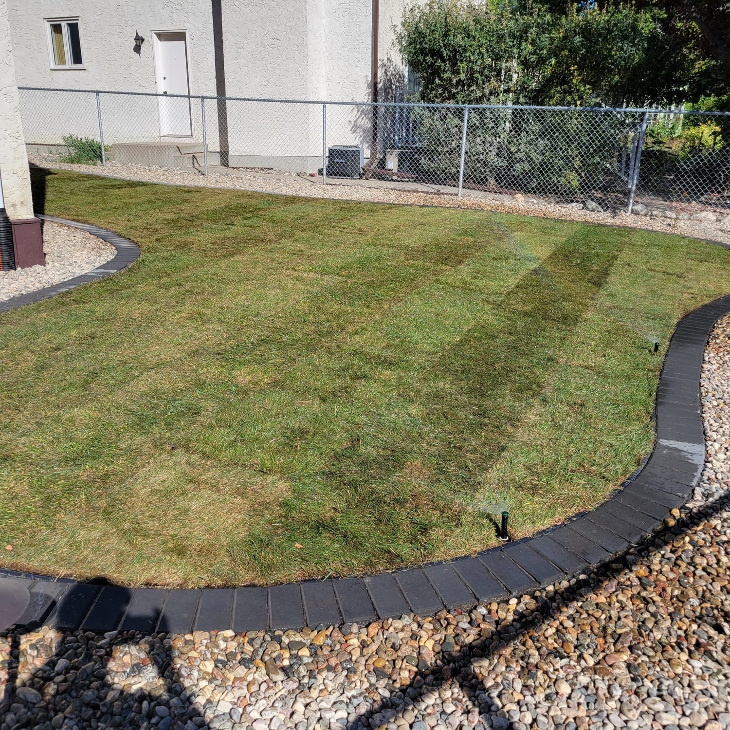 Turf & Sod